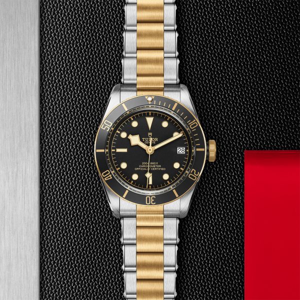 TUDOR Black Bay S&G - M79733N-0008 Automatic Watch - Image 2