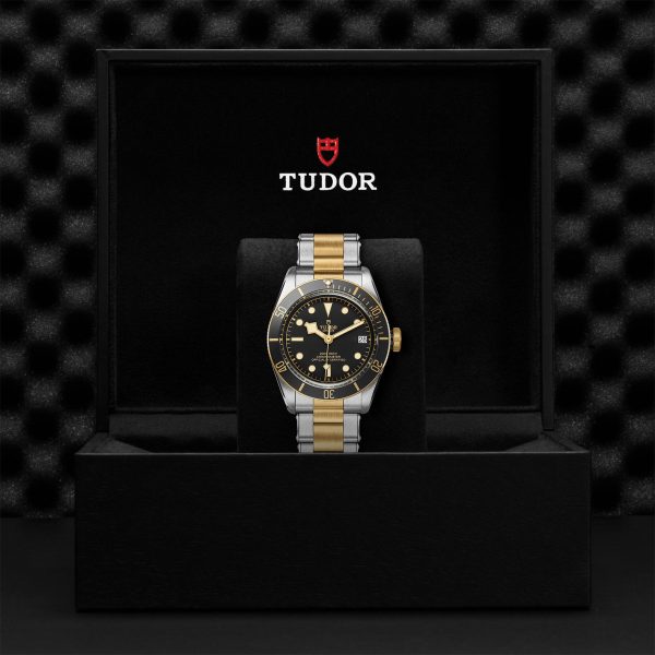TUDOR Black Bay S&G - M79733N-0008 Automatic Watch - Image 4