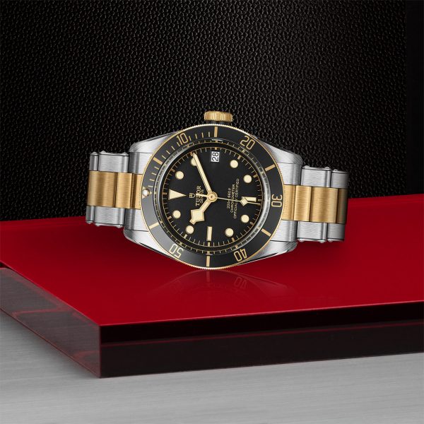TUDOR Black Bay S&G - M79733N-0008 Automatic Watch - Image 3