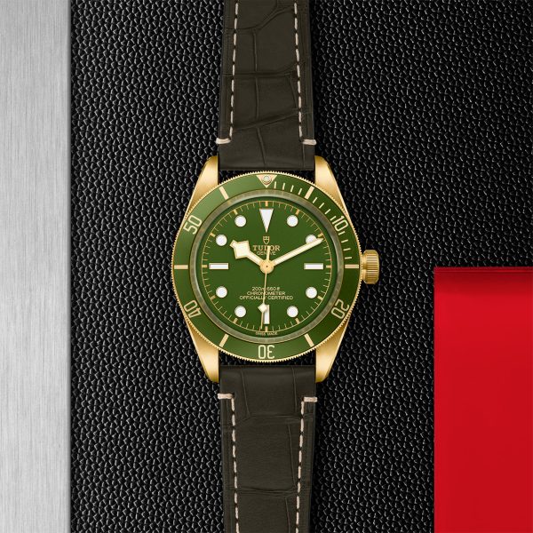 TUDOR Black Bay Fifty-Eight 18K - M79018V-0001 - Aged Stock - Image 3