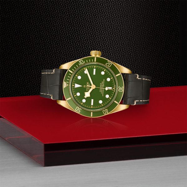 TUDOR Black Bay Fifty-Eight 18K - M79018V-0001 - Aged Stock - Image 4