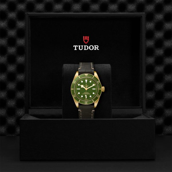 TUDOR Black Bay Fifty-Eight 18K - M79018V-0001 - Aged Stock - Image 5