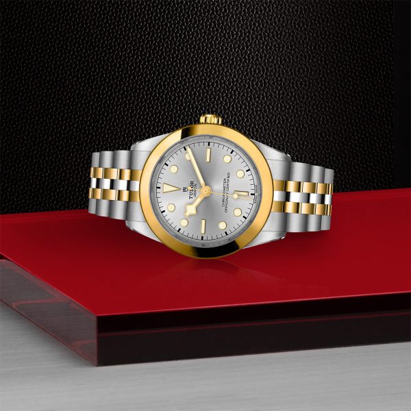 TUDOR Black Bay One 39 S&G - M79663-0002 Automatic Watch - Image 3