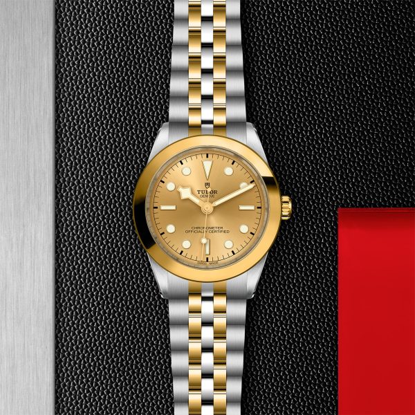 TUDOR Black Bay One 39 S&G - M79663-0005 Automatic Watch - Image 2