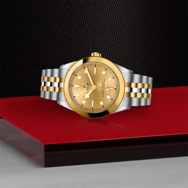 TUDOR Black Bay One 39 S&G - M79663-0005 Automatic Watch - Image 3
