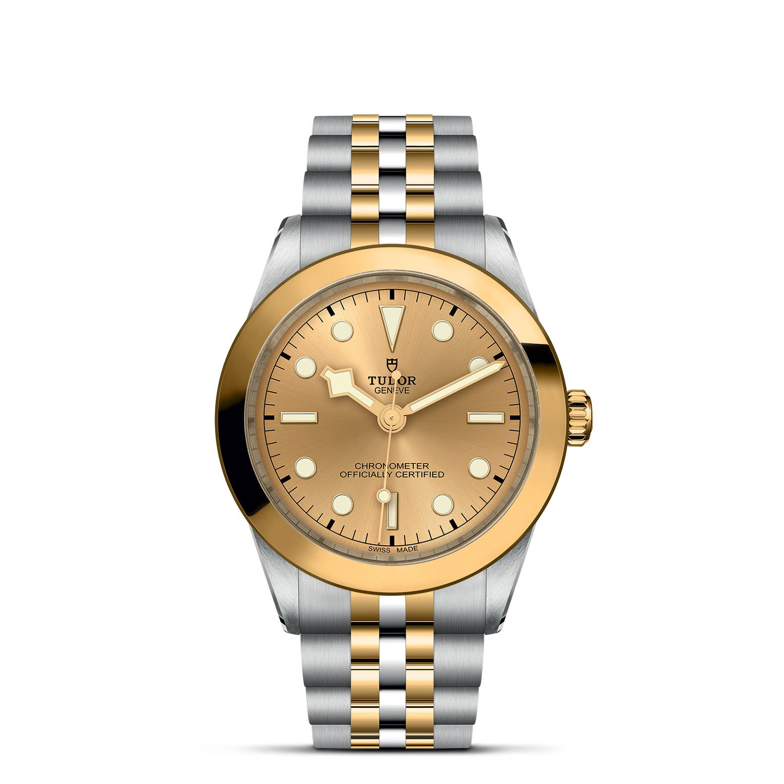 TUDOR Black Bay 39 S&G - M79663-0005 Automatic Watch