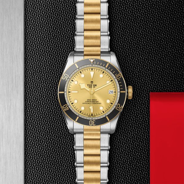 TUDOR Black Bay S&G - M79733N-0004 Automatic Watch - Image 2