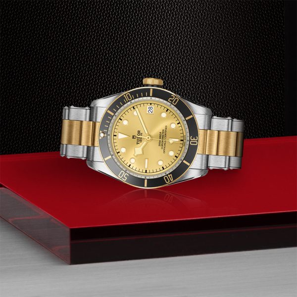 TUDOR Black Bay S&G - M79733N-0004 Automatic Watch - Image 3