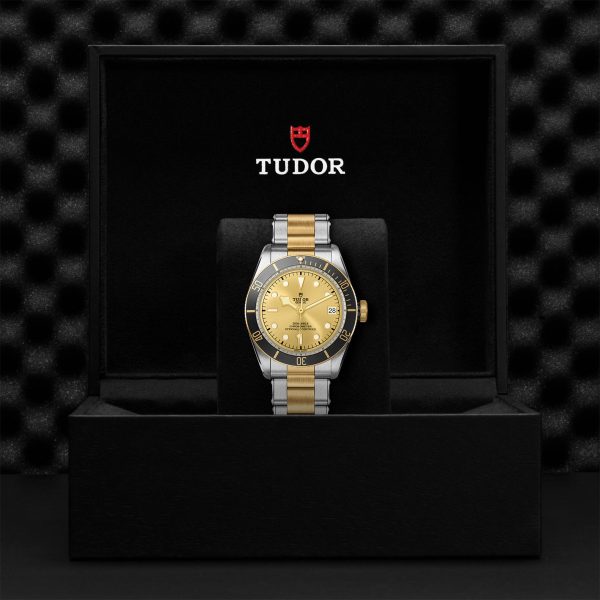 TUDOR Black Bay S&G - M79733N-0004 Automatic Watch - Image 4