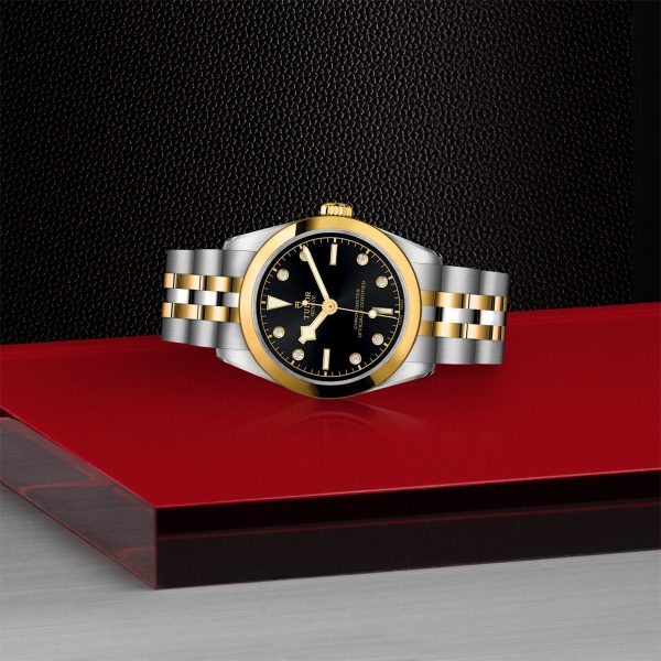 TUDOR Black Bay One 31 S&G - M79603-0006 Automatic Watch - Image 3