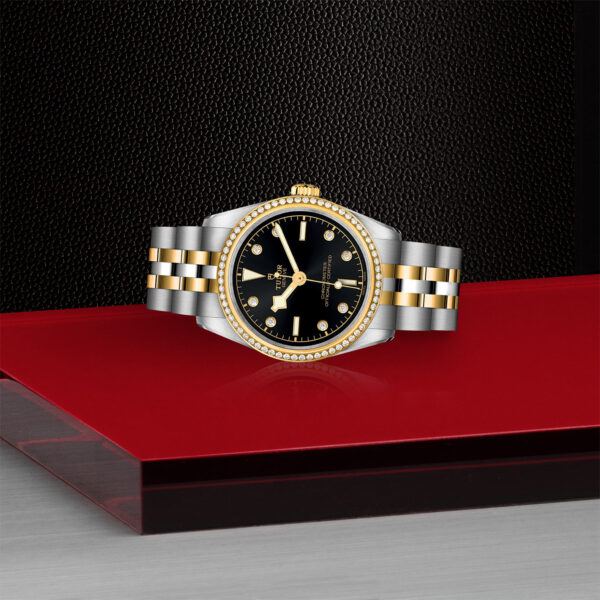 TUDOR Black Bay 31 S&G – M79613-0005 Aged Stock - Image 2