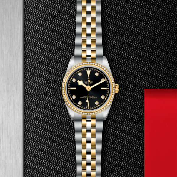 TUDOR Black Bay 31 S&G – M79613-0005 Aged Stock - Image 3